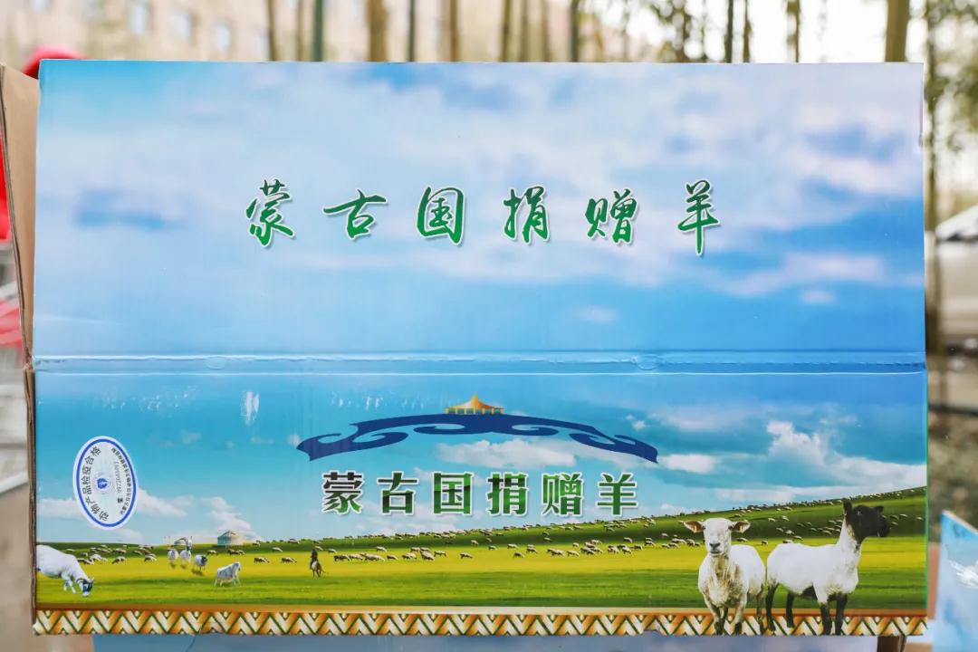援鄂醫(yī)療隊：“暖羊羊”來啦！