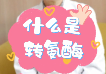 【名醫(yī)面對(duì)面之消化100問】什么是轉(zhuǎn)氨酶？